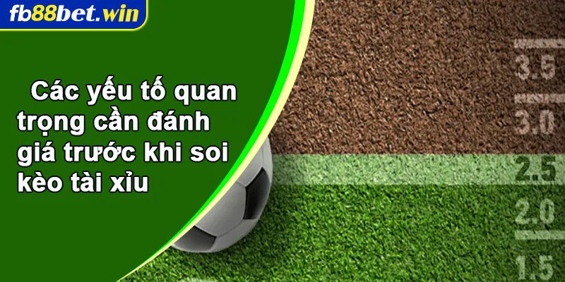 Các yếu tố quan trọng cần đánh giá trước khi soi kèo tài xỉu