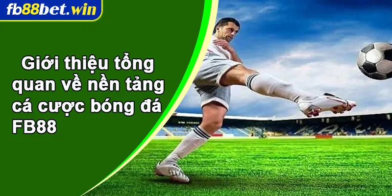 Giới thiệu tổng quan về nền tảng cá cược bóng đá FB88