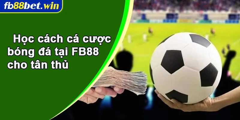 Học cách cá cược bóng đá tại FB88 cho tân thủ